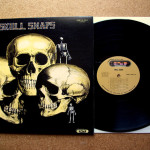 Visioni: La leggenda del beat, gli Skull Snaps (Documentary)